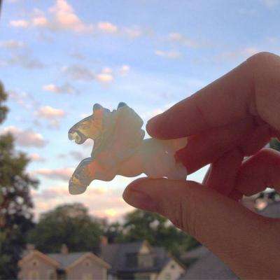 澳门威斯尼斯WNS888入口app下载